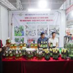 HTX Hán Thị mang sản phẩm OCOP từ cây nhàu đến Hội chợ Triển lãm sản phẩm công nghiệp nông thôn năm 2026