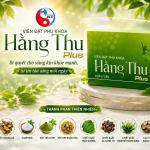Chăm sóc sức khỏe phụ khoa chủ động – Xu hướng của phụ nữ hiện đại trong hành trình nâng cao chất lượng cuộc sống